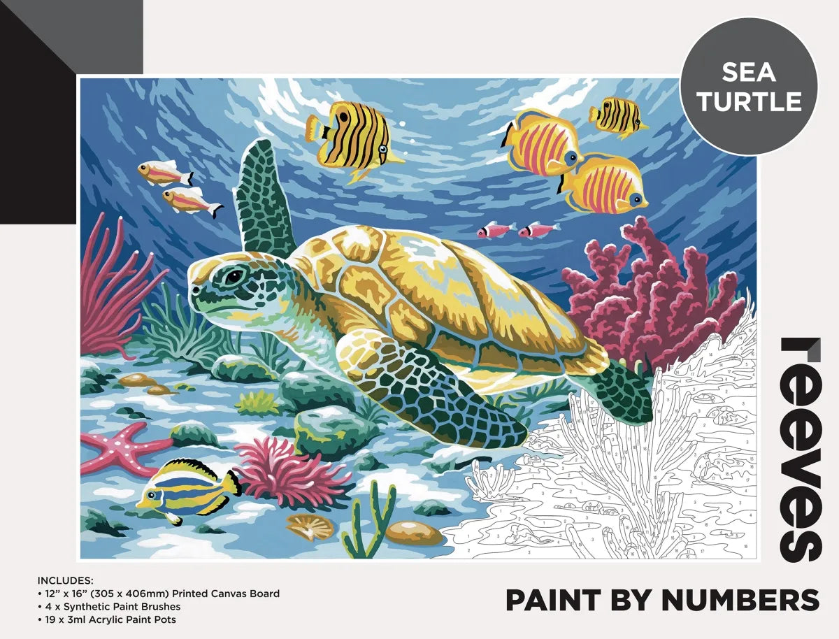 Reeves Paint By Numbers - 19 Designs