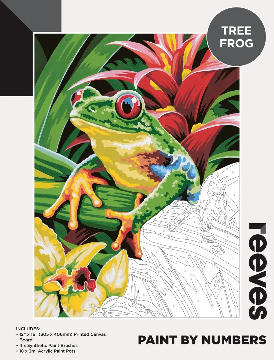 Reeves Paint By Numbers - 19 Designs