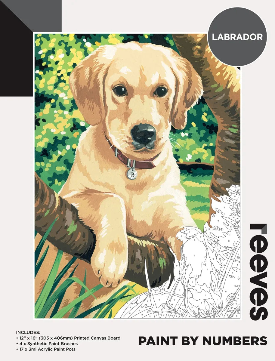 Reeves Paint By Numbers - 19 Designs