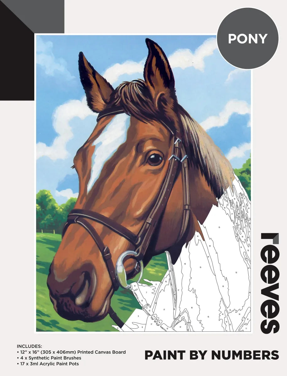 Reeves Paint By Numbers - 19 Designs
