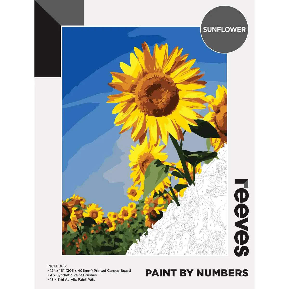 Reeves Paint By Numbers - 19 Designs