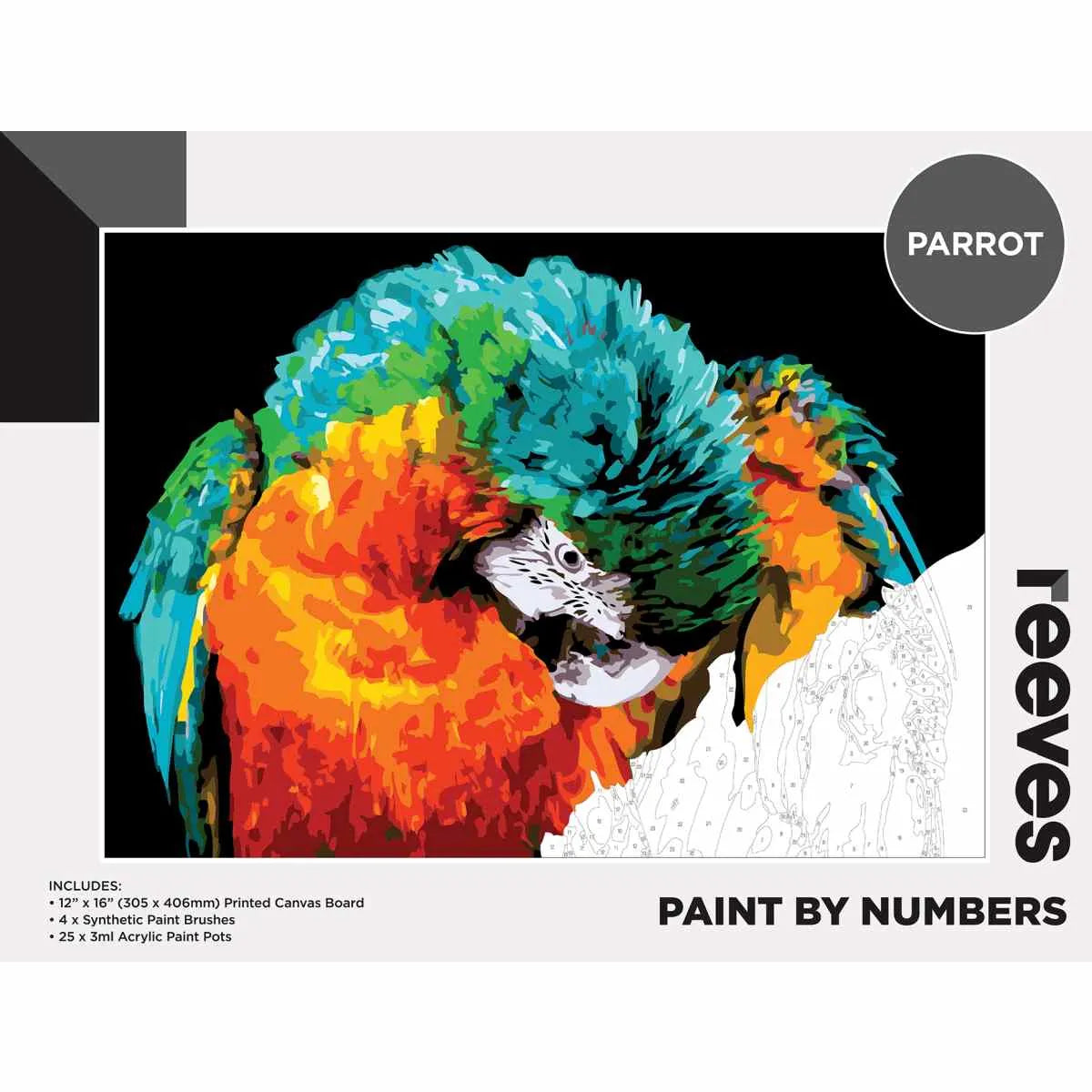 Reeves Paint By Numbers - 19 Designs