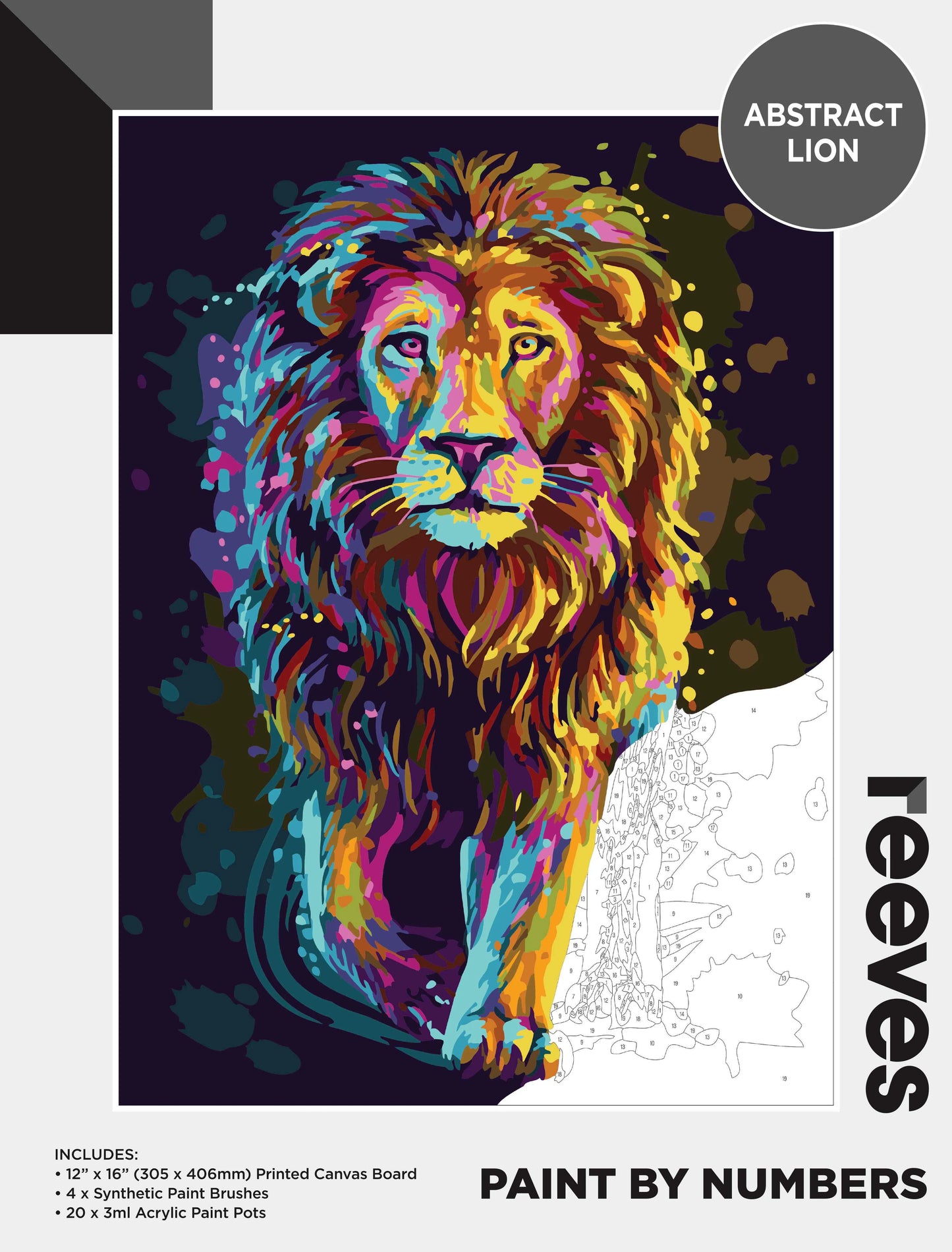Reeves Paint By Numbers - 19 Designs