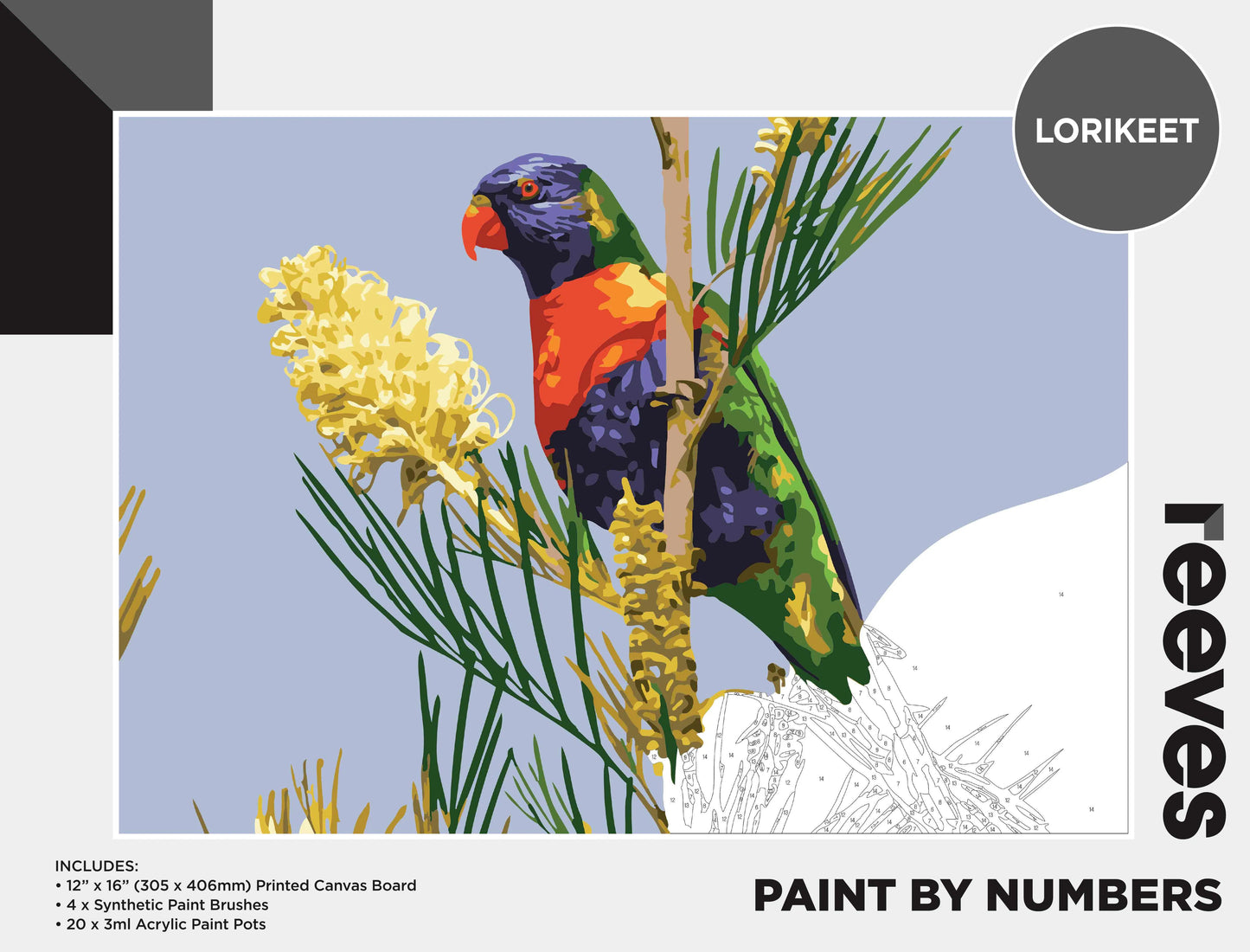 Reeves Paint By Numbers - 19 Designs