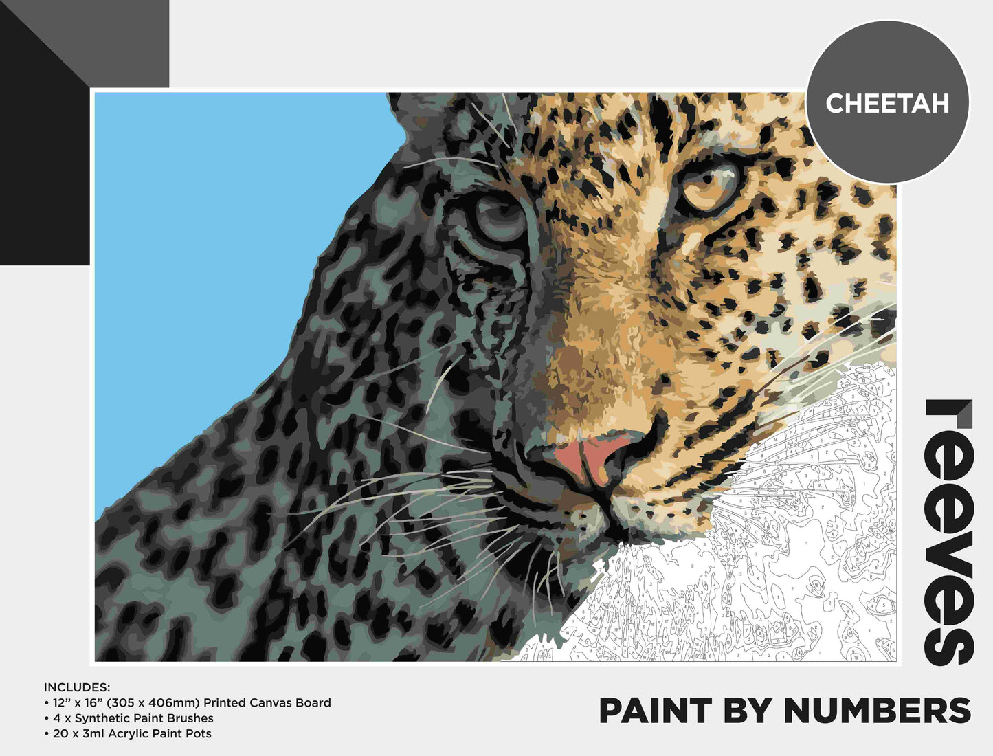 Reeves Paint By Numbers - 19 Designs