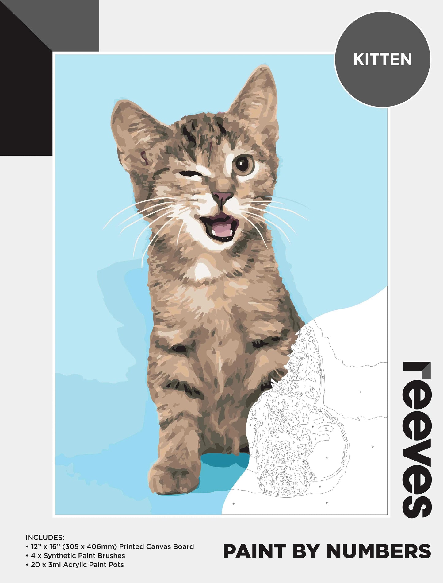 Reeves Paint By Numbers - 19 Designs