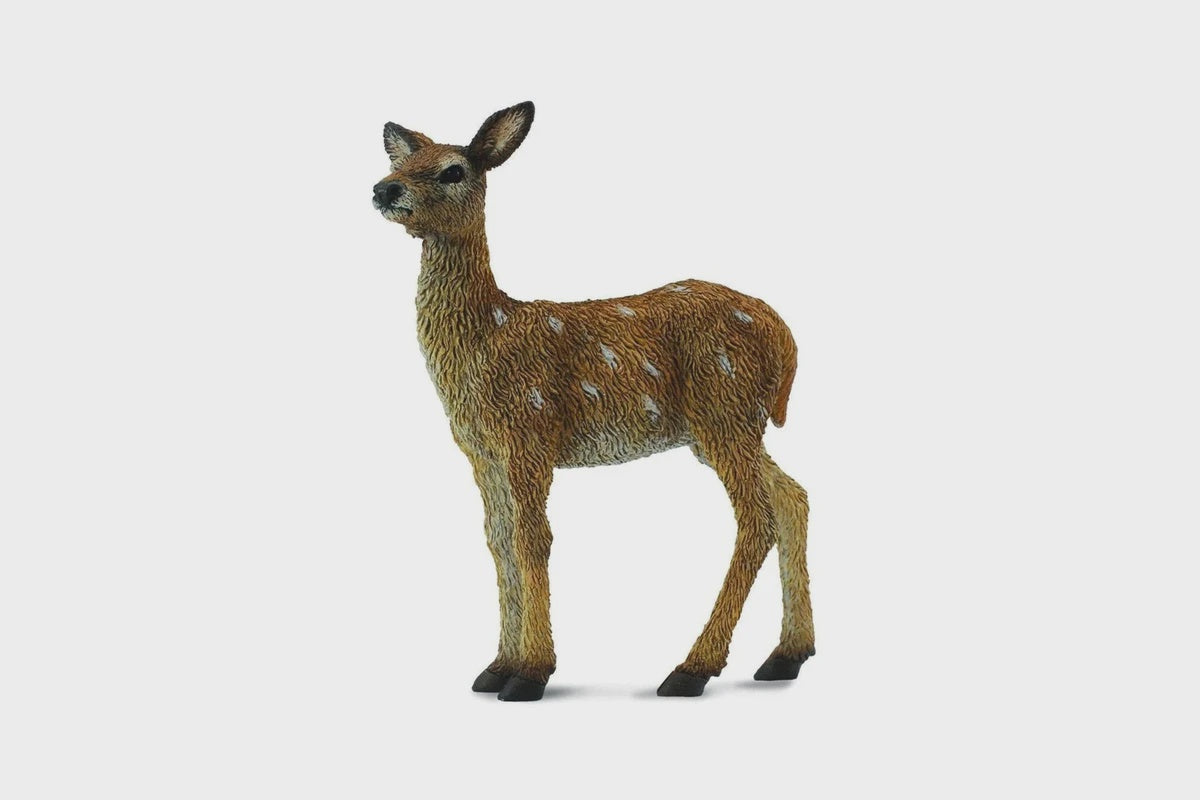 Red Deer Calf - S