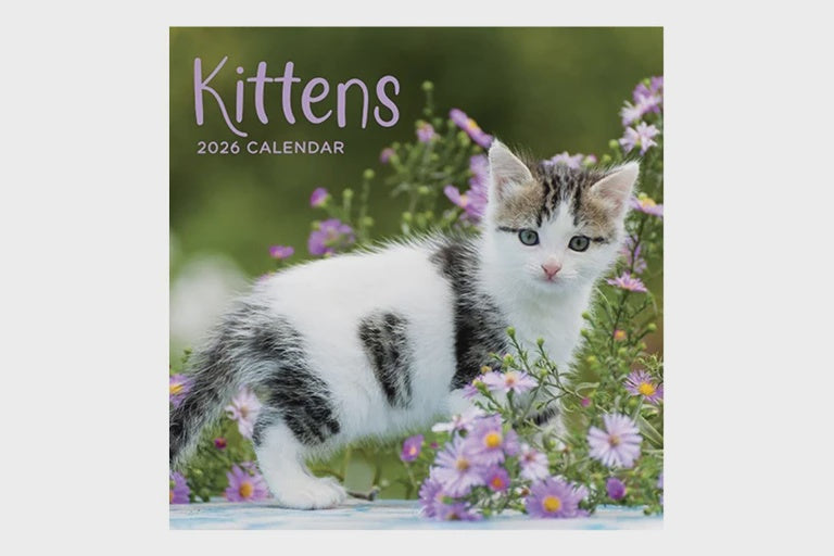 2026 Kittens Square Calendar