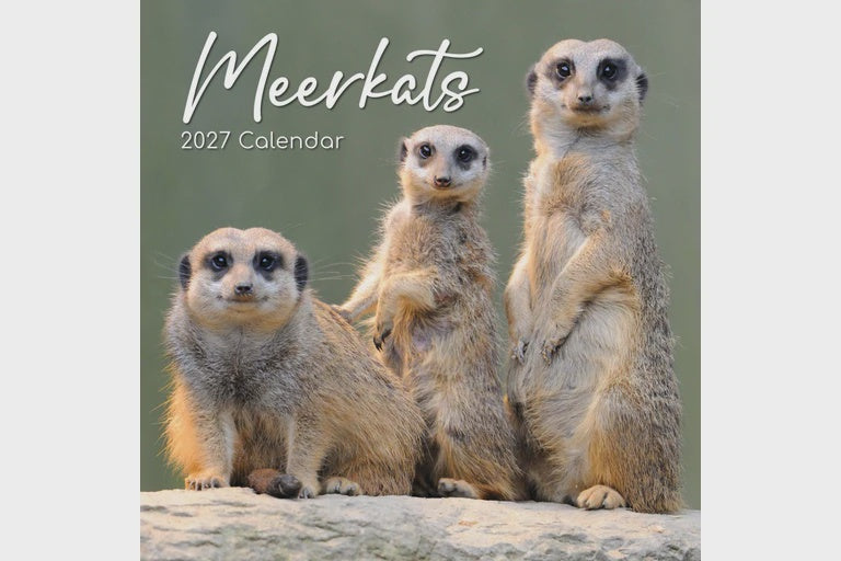 2027 Meerkats - Square Wall Calendar