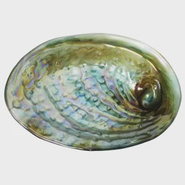 Moana Road Paua Glass Bowl Medium