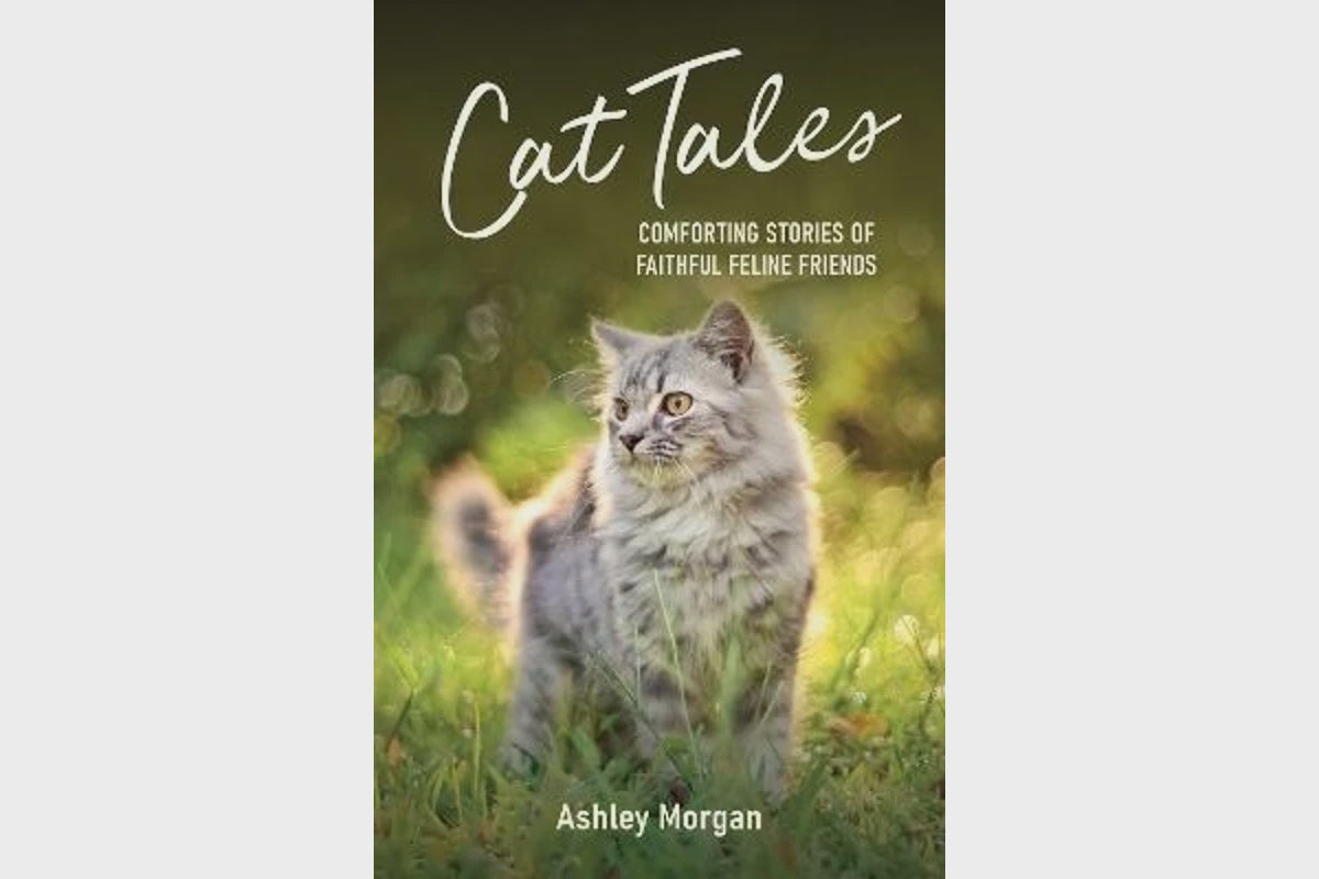 Cat Tales by Ashley Morgan