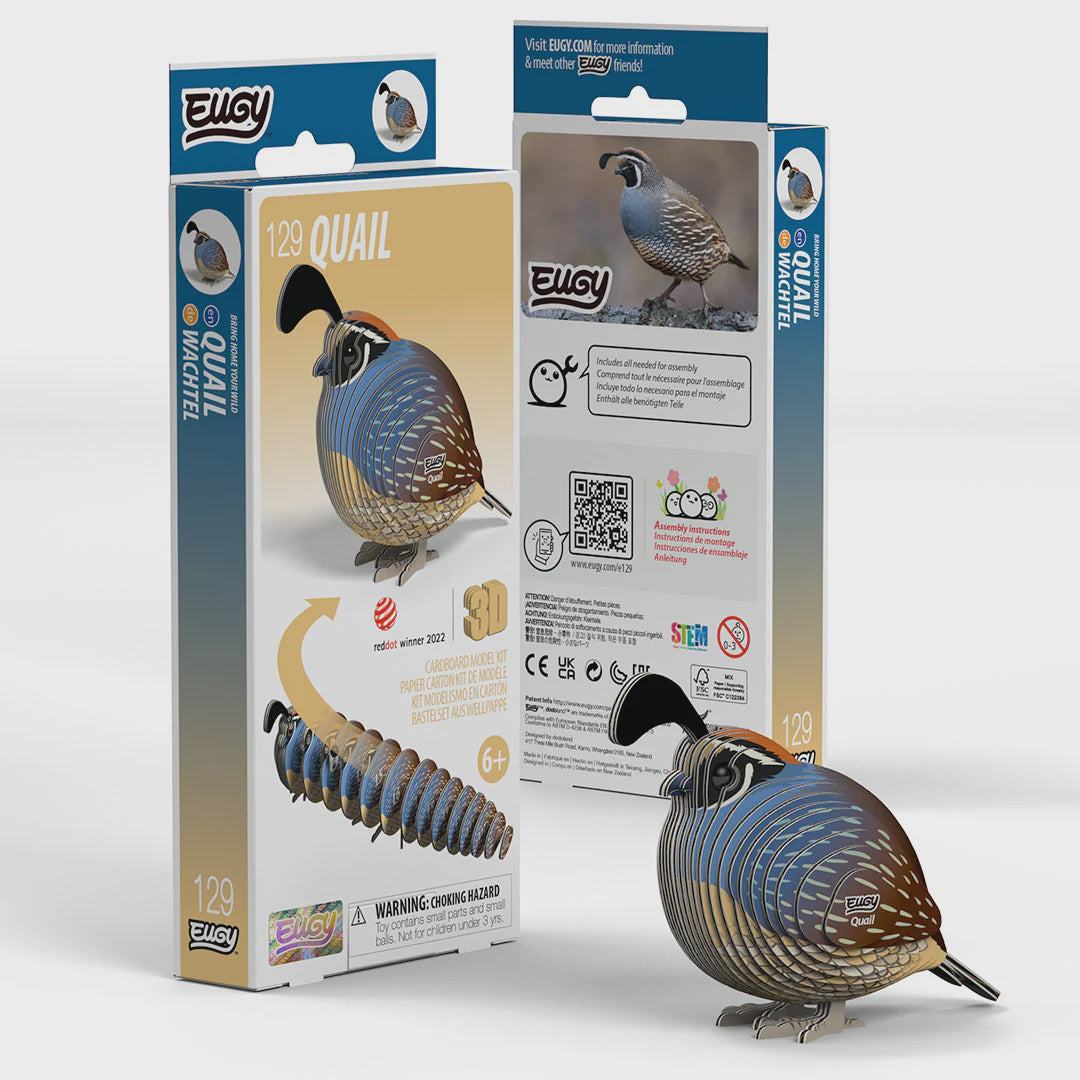 Eugy Quial 3D Cardboard Model Kit 129