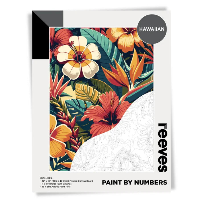 Reeves Paint By Numbers - 19 Designs
