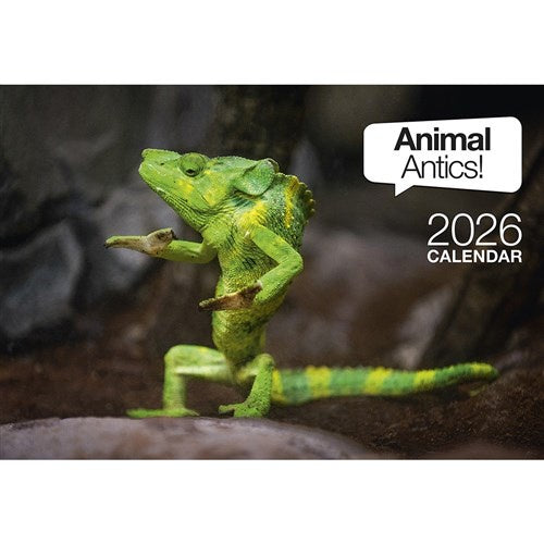 Animal Antics Stitched Booklet Calendar 2026
