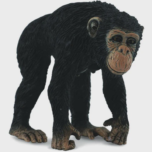Chimpanzee Female Figurine - M