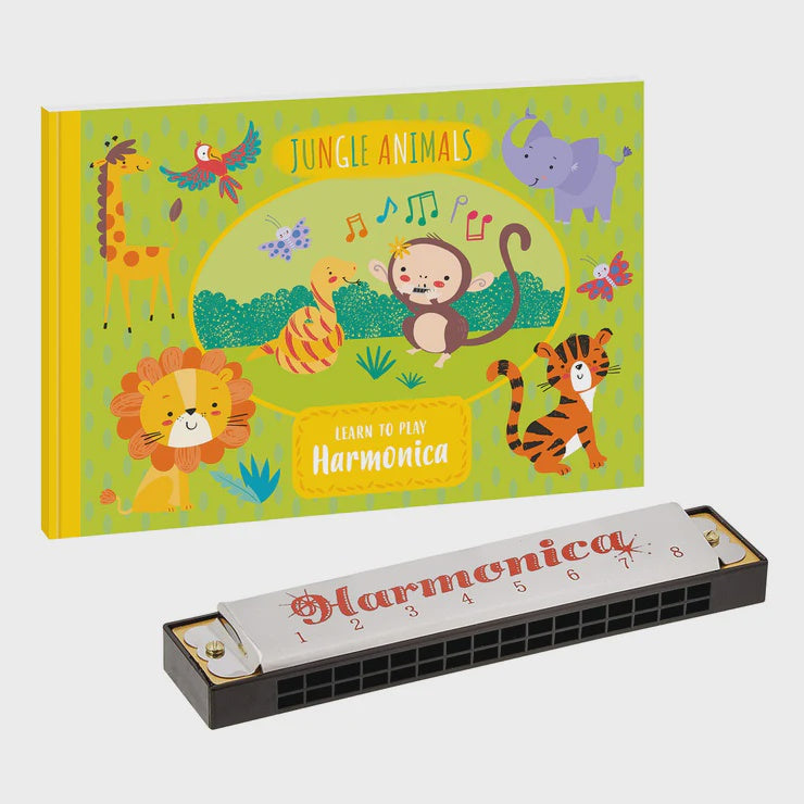 Learn To Play Harmonica