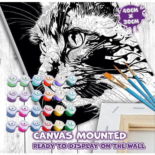 Paint by Numbers: Cat