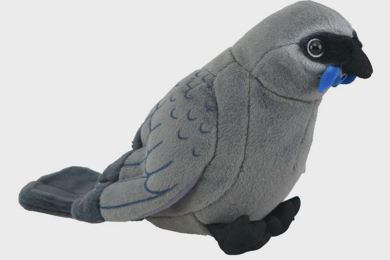 Kokako Sound Bird