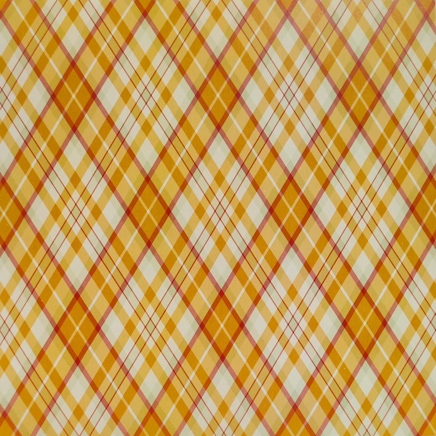 Scrapbook Cardstock -Patterns #17