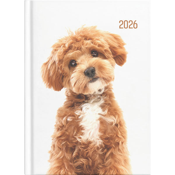 2026 Collins Diary A51 Cats & Dog Day to Page Assorted