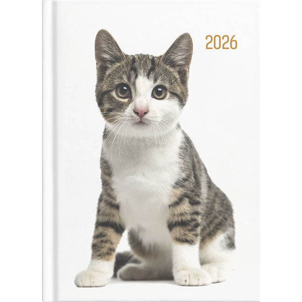 2026 Collins Diary A51 Cats & Dog Day to Page Assorted