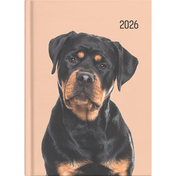 2026 Collins Diary A51 Cats & Dog Day to Page Assorted