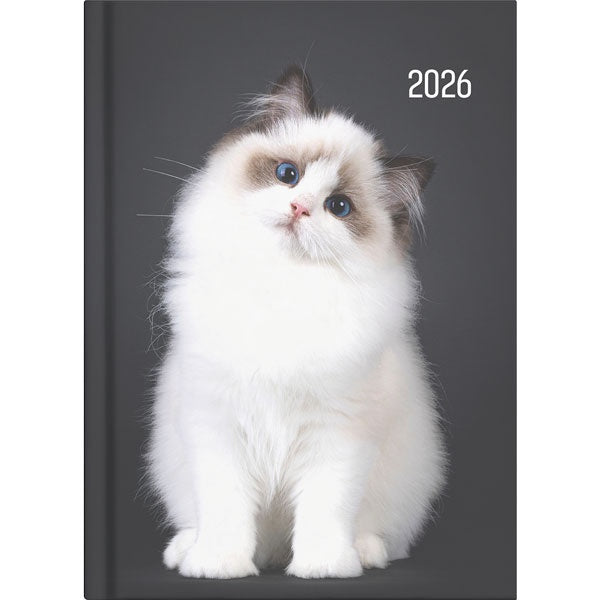 2026 Collins Diary A51 Cats & Dog Day to Page Assorted