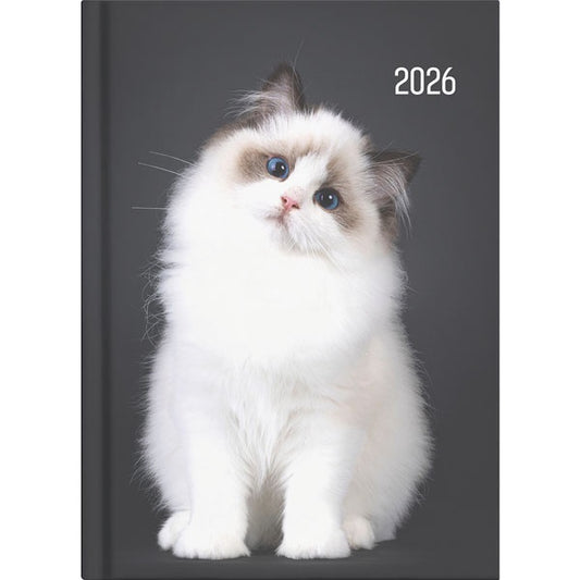 2026 Collins Diary A51 Cats & Dog  Day to Page Assorted