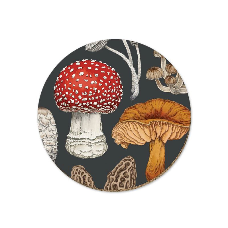 NZ Fungi Coaster