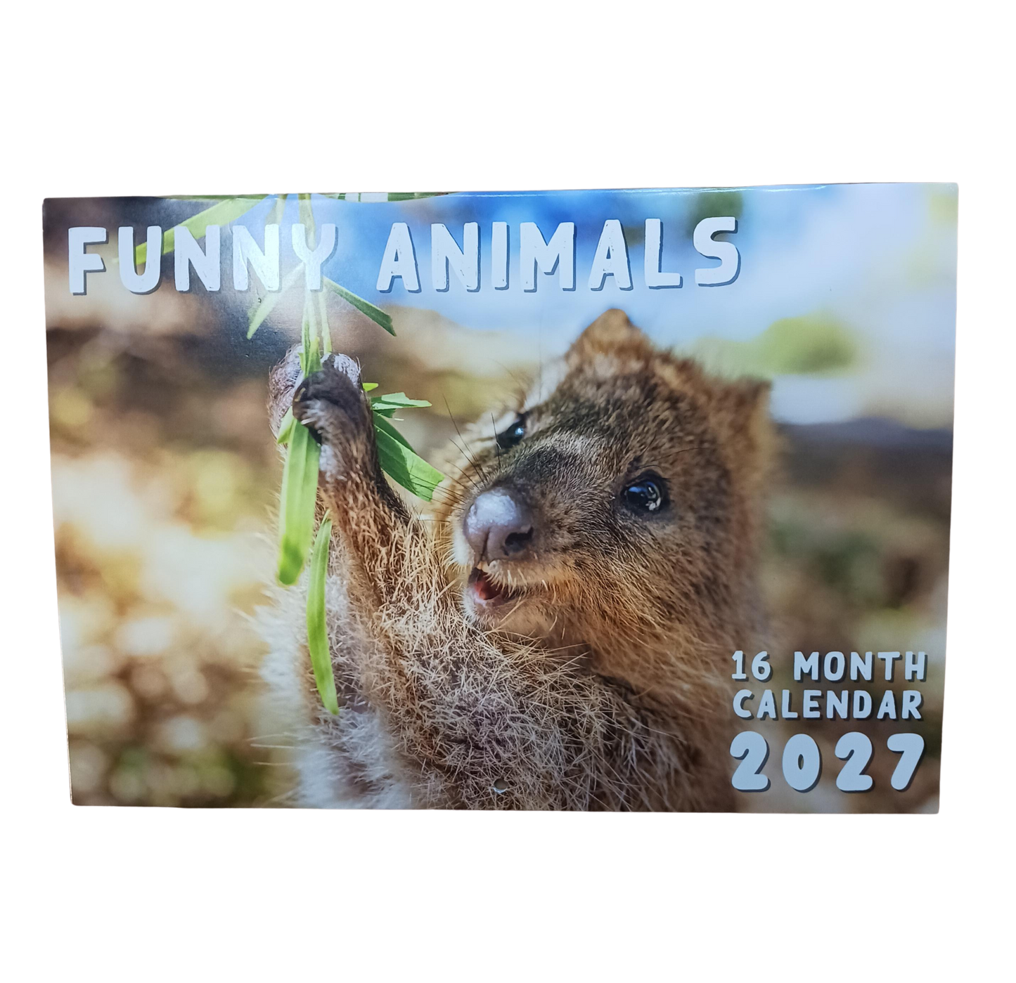 Calendar Rectangle Funny Animals 2027