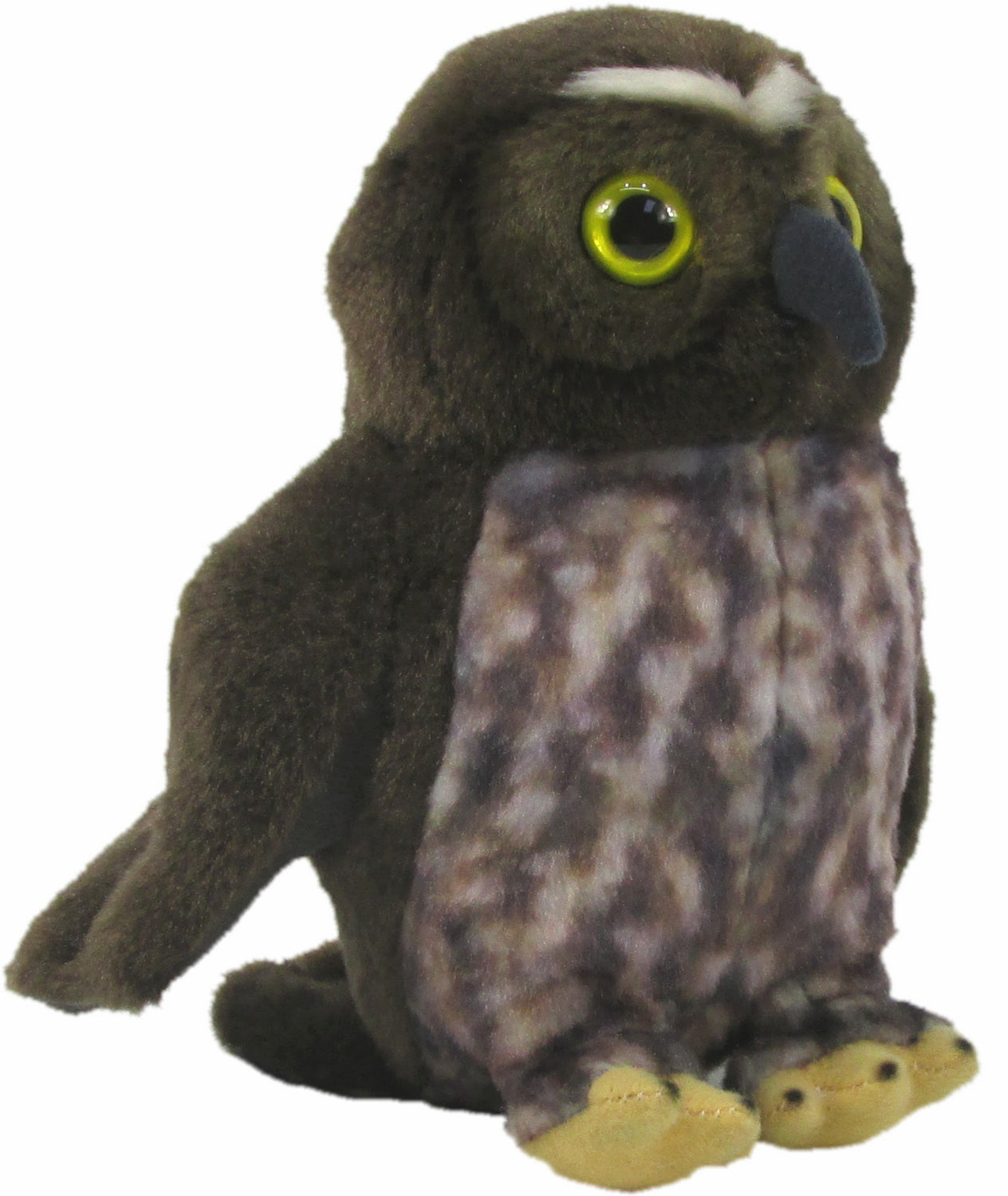 Antics Ruru Morepork With Sound