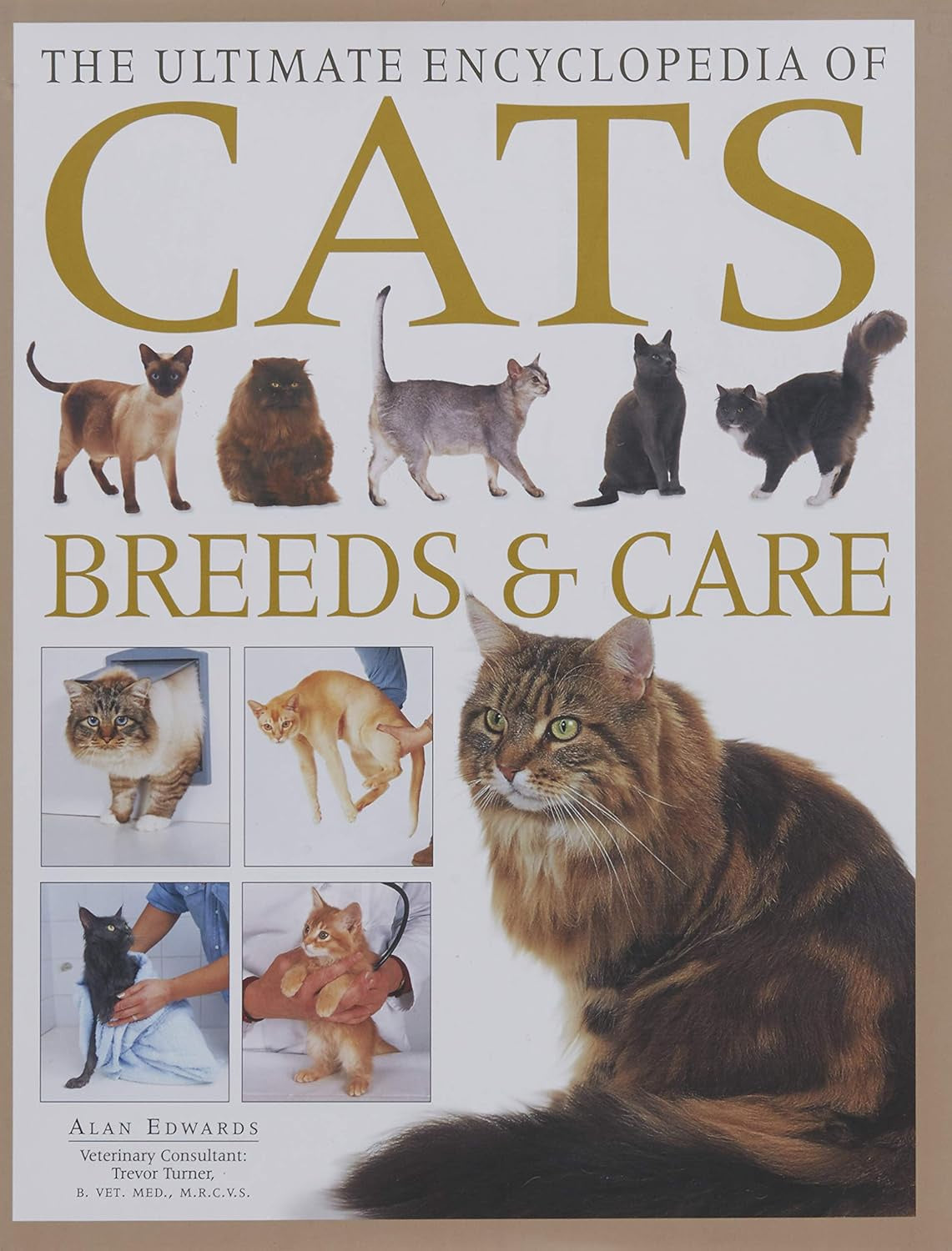 Ultimate Encyclopedia Of Cats