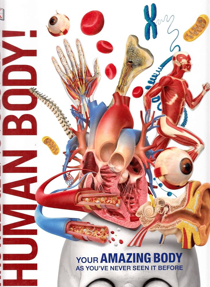 Knowledge Encyclopedia Human Body