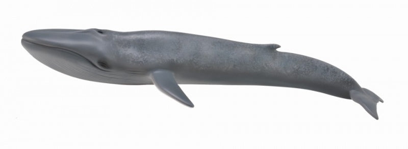Blue Whale CollectA