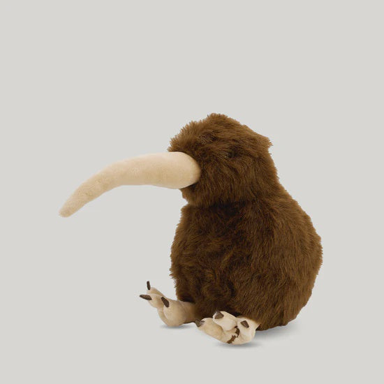 Barry the Brown Kiwi