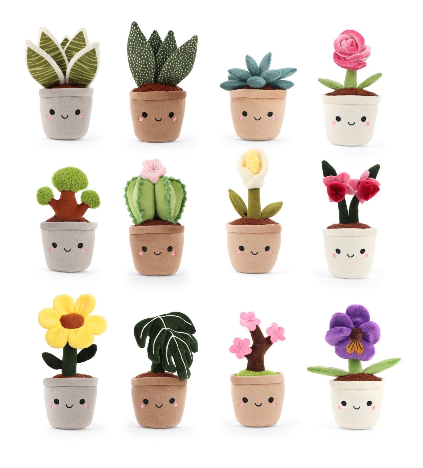 Keeleco Mini Botanical Garden: Assorted