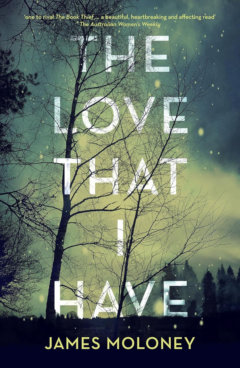 The Love That I Have