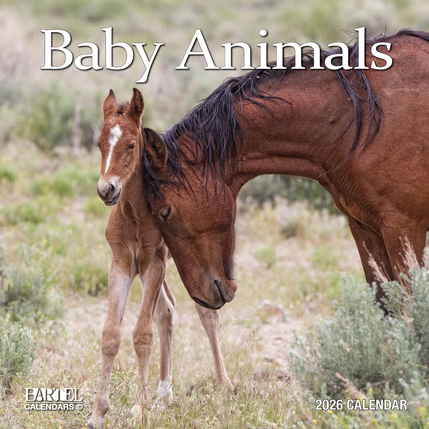Calendar 2026 300x300mm Baby Animals