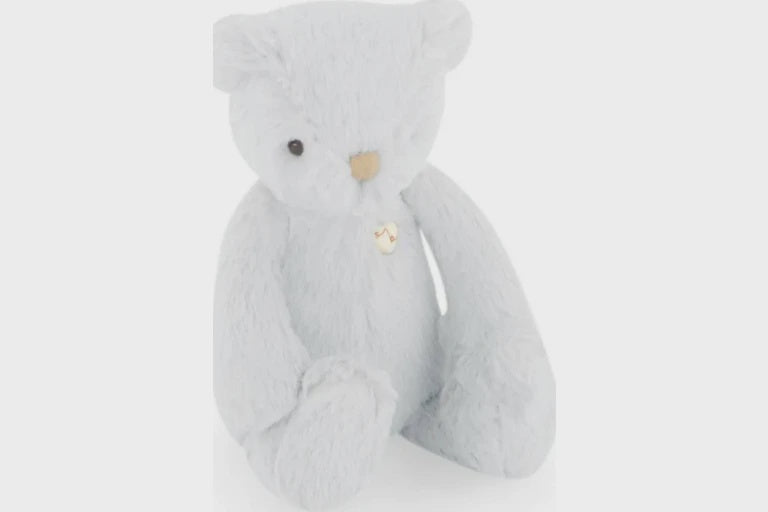Snuggle Bunnies - George the Bear - Moonbeam