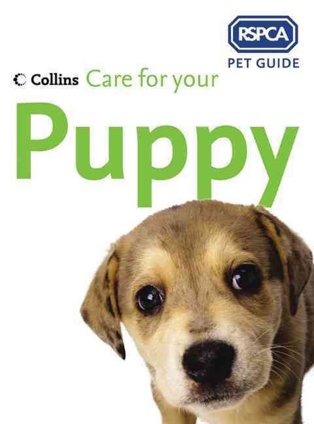 Rspca Pet Guide Care For Your Puppy