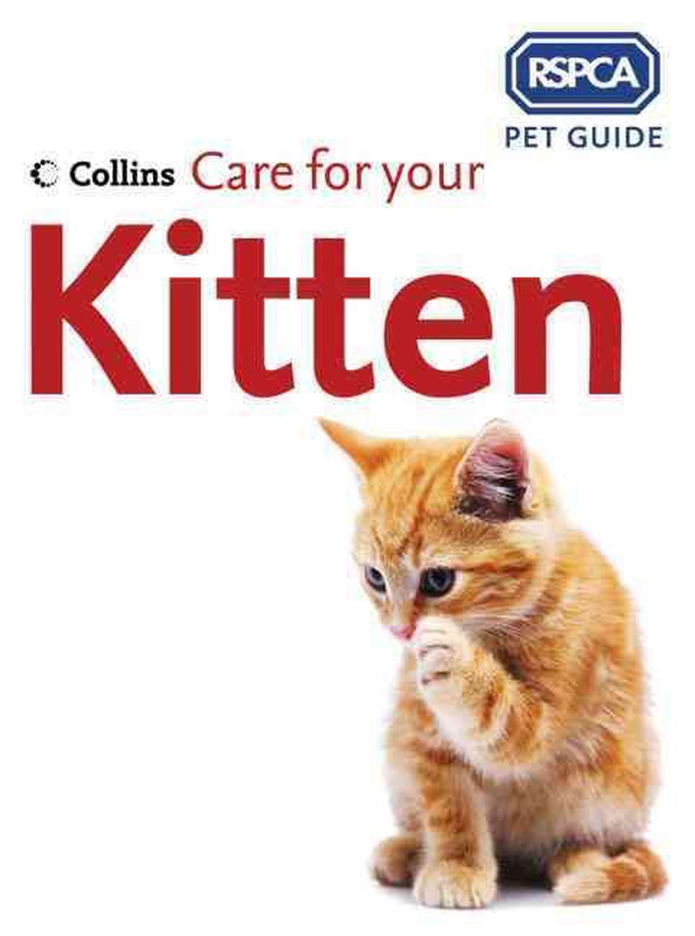 Rspca Pet Guide Care For Your Kitten