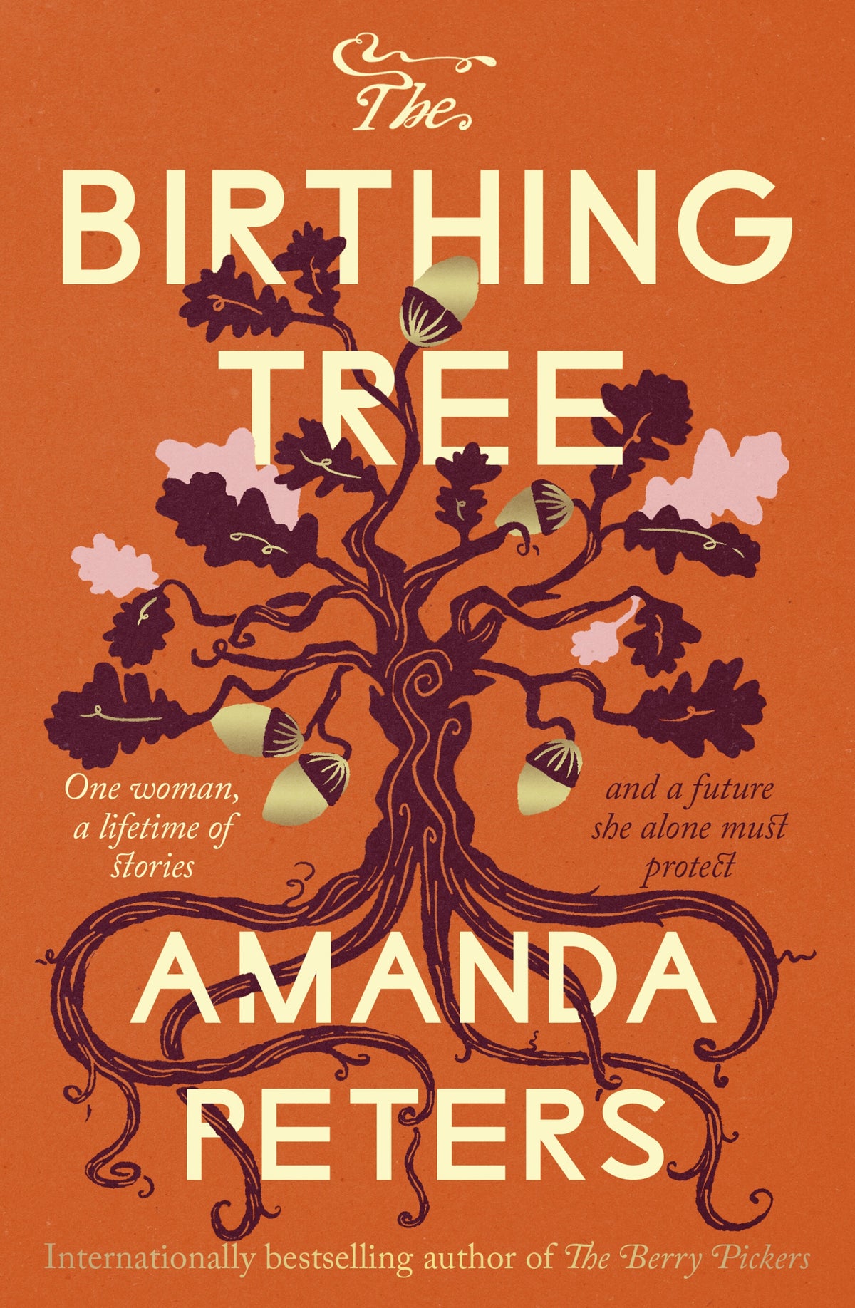 The Birthing Tree By Amanda Peters