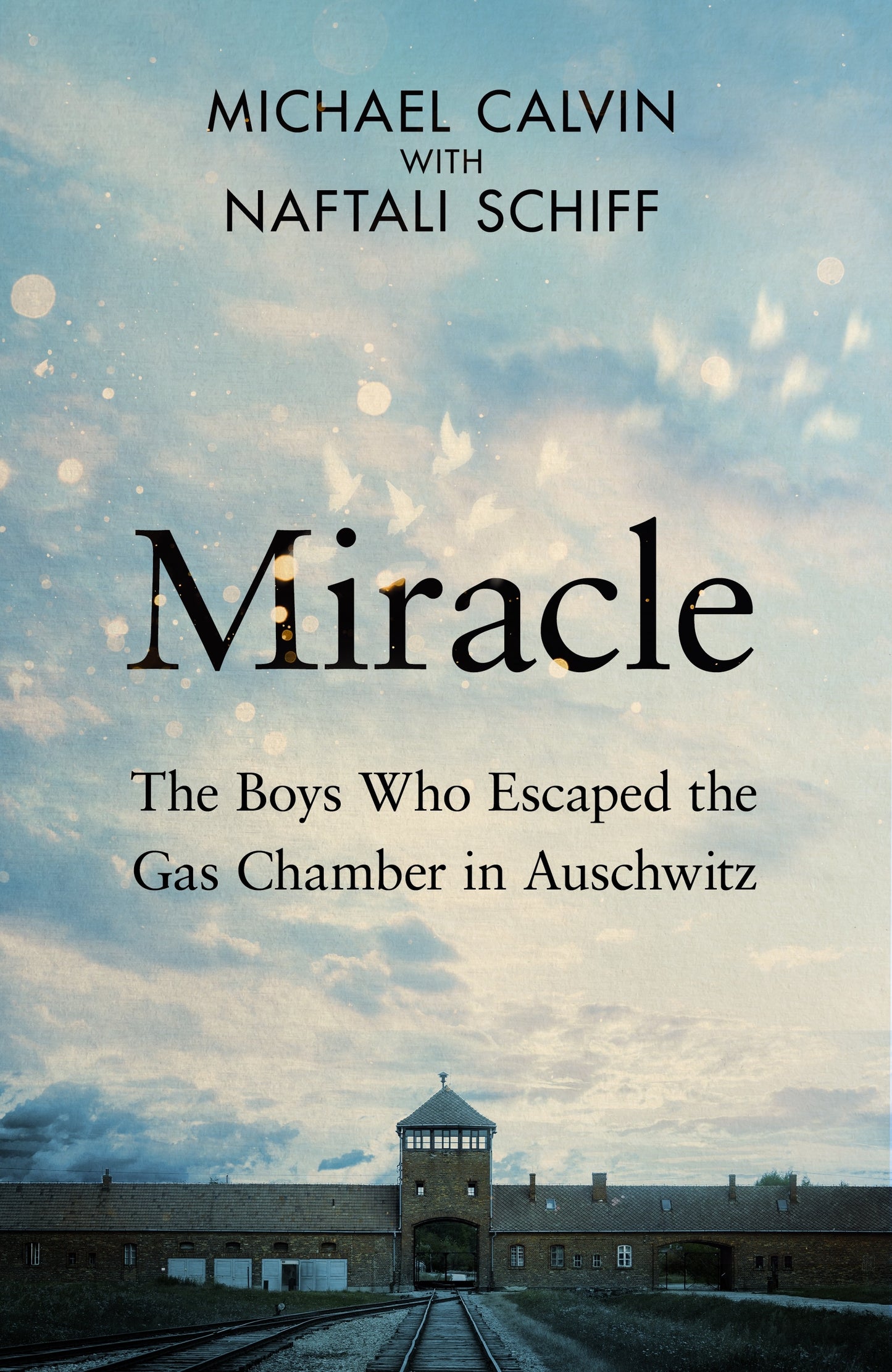 Miracle The Boys Who Escaped the Gas Chamber in Auschwitz Michael Calvin with Naftali Schiff