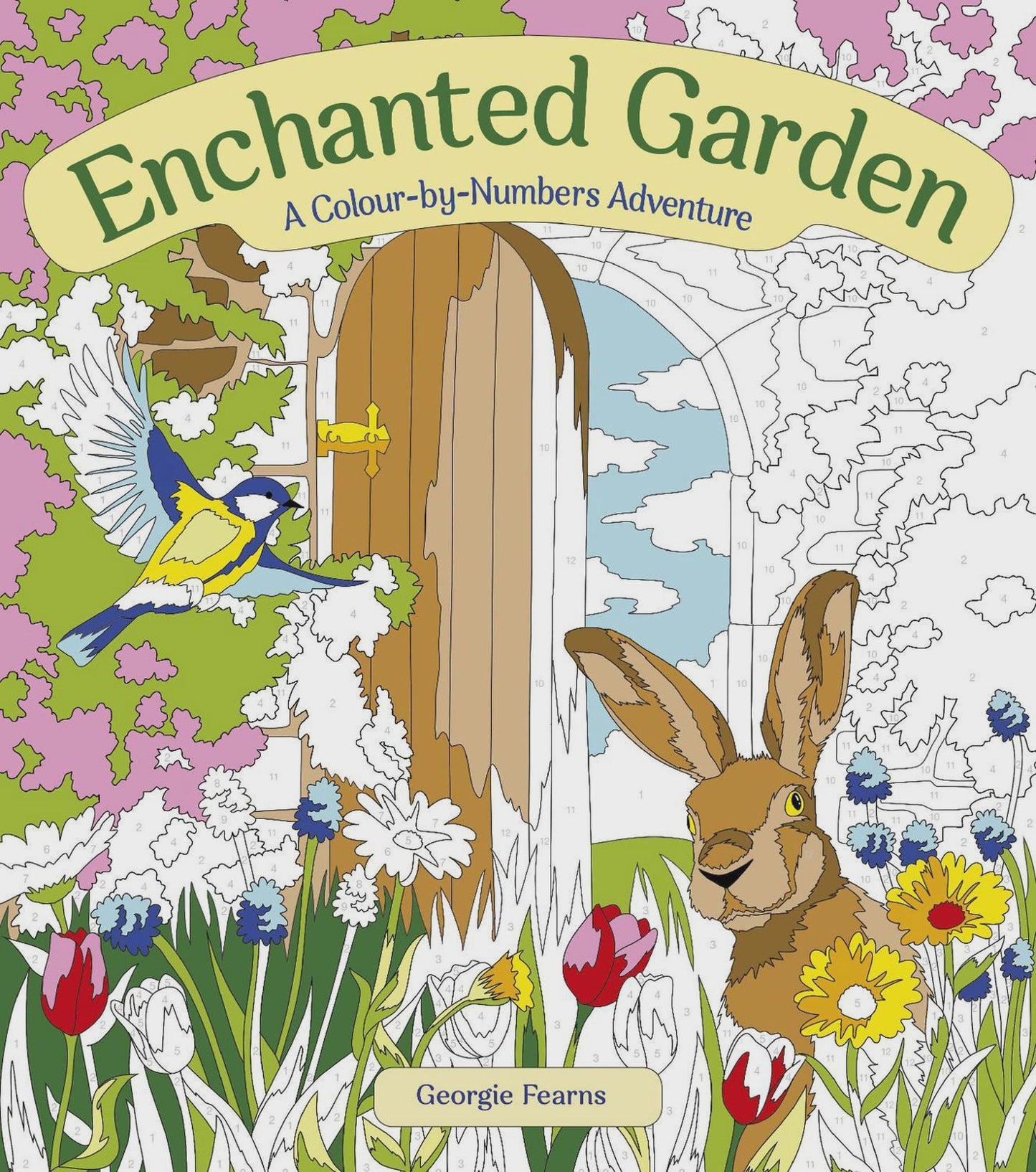 Enchanted Garden Colour by Numbers Adventure