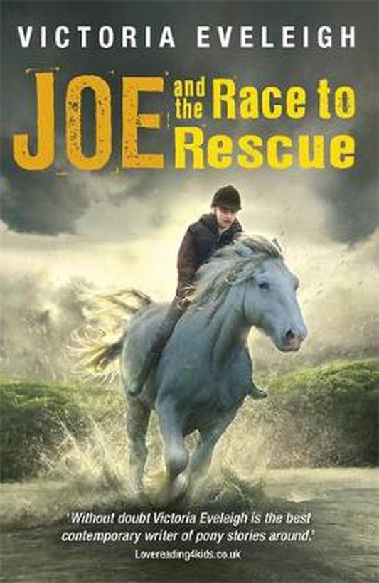 Joe And The Race To Rescue