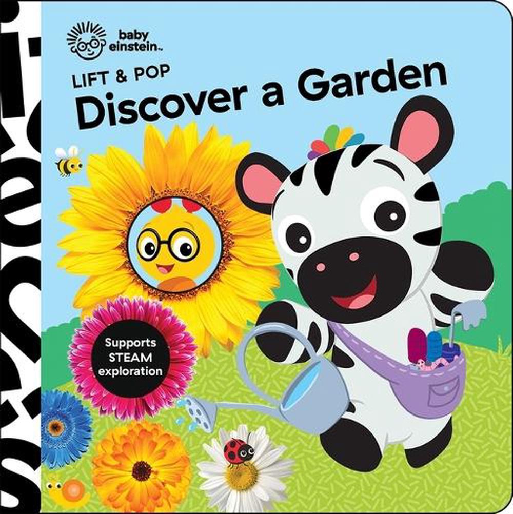 Baby Einstein Pop Up