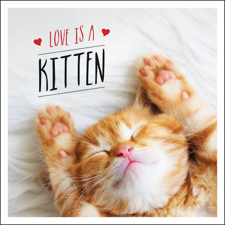 Love Is A Kitten A CatTastic Celebration