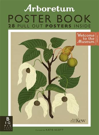 Arboretum Poster Book by Royal Botanic Gardens Kew, illustrated by Katie Scott