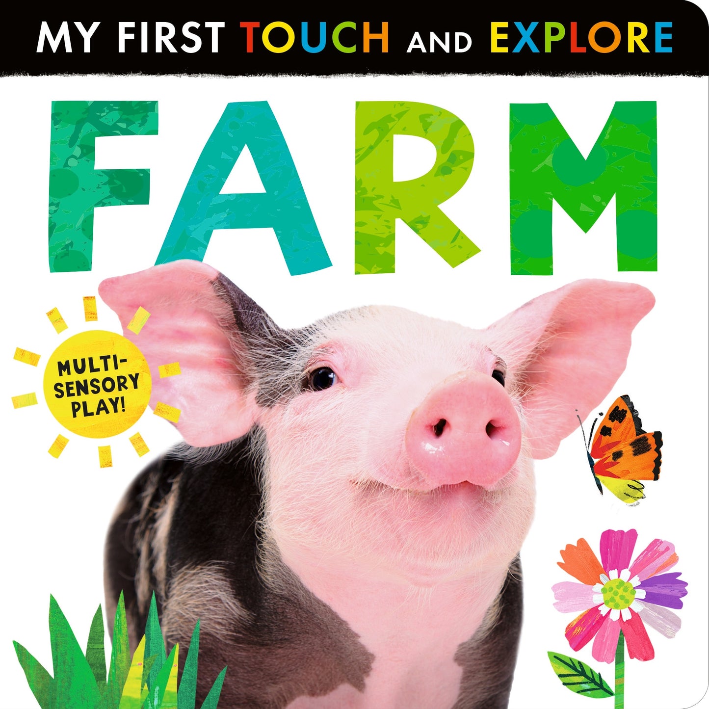 Farm By Lauren Crisp, Laura Silveira - Board Book