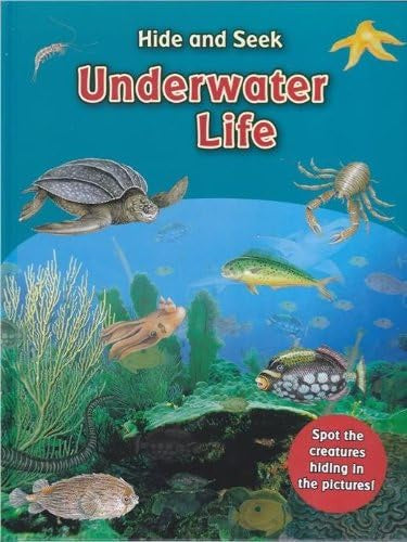 Hide and Seek: Underwater Life